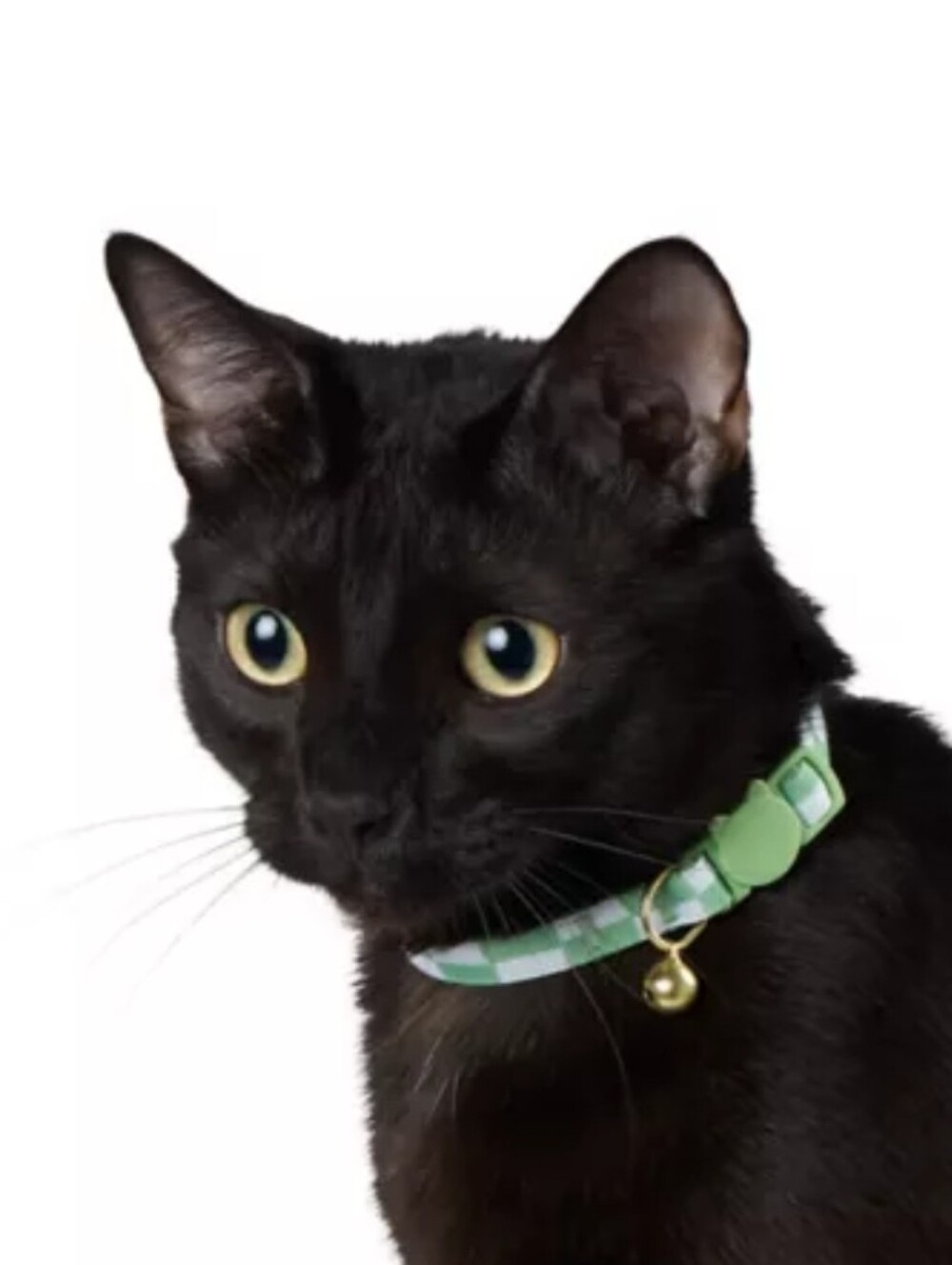 Whisker City NWT Green Checkered Breakaway Cat Collar Adult Size (8in-12in)